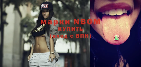 бошки Алексин