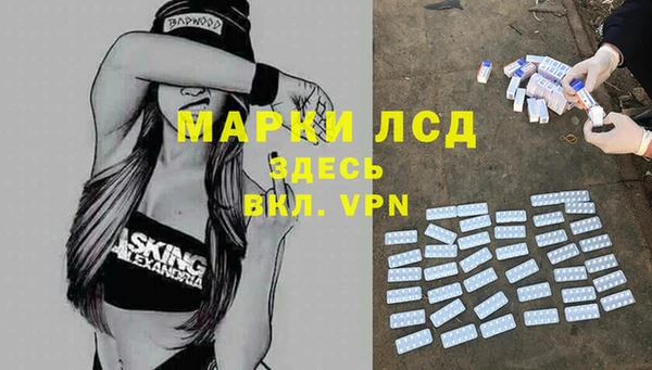 бошки Алексин