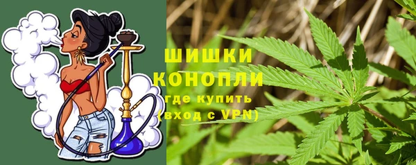 бошки Алексин