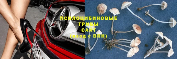 ALPHA-PVP Алексеевка