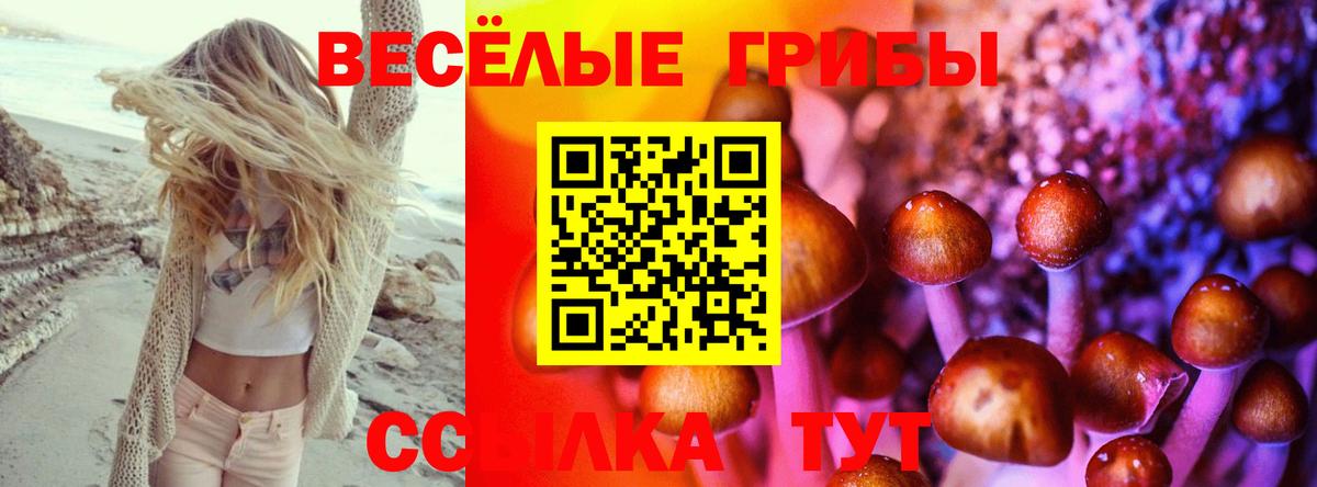 Галлюциногенные грибы Psilocybine cubensis Геленджик