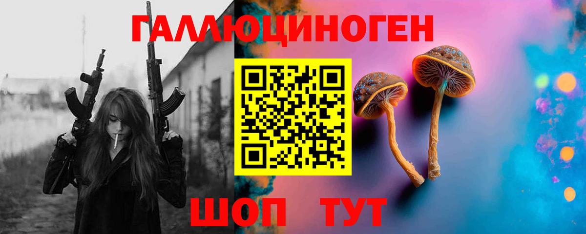 Галлюциногенные грибы Psilocybe  Вход с VPN  Геленджик 
