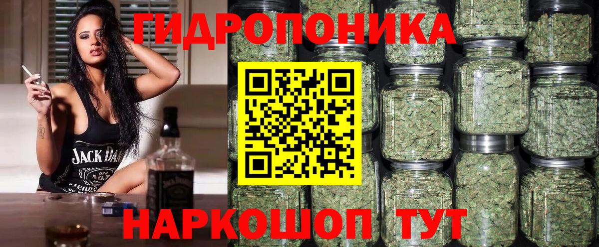 Конопля индика Геленджик